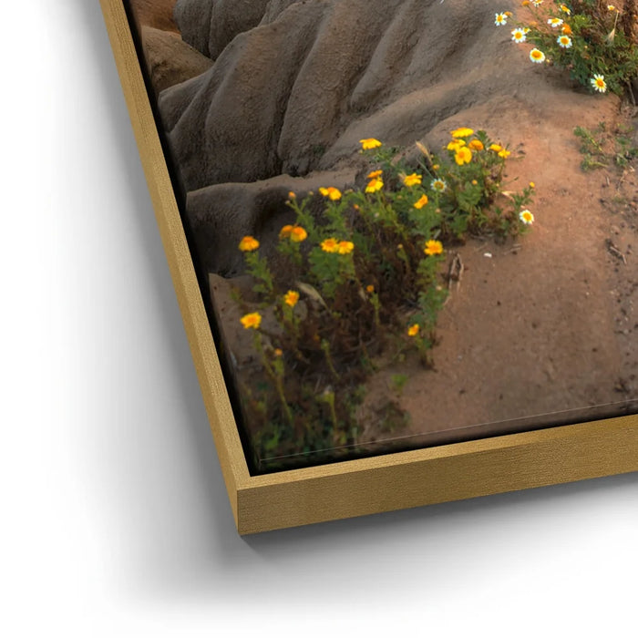 Featured image 12 for Sunset Cliffs