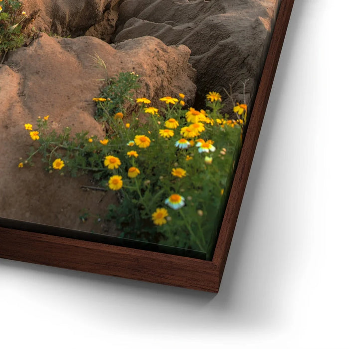 Featured image 14 for Sunset Cliffs