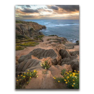 Sunset Cliffs