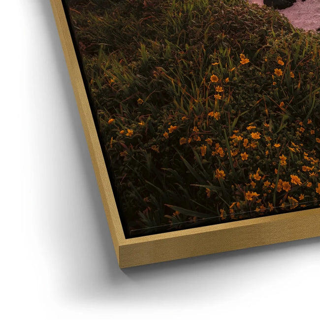 Featured image 12 for Sunset Symphony