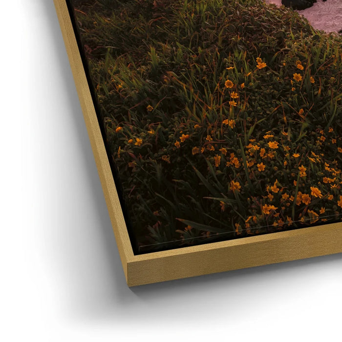 Featured image 12 for Sunset Symphony