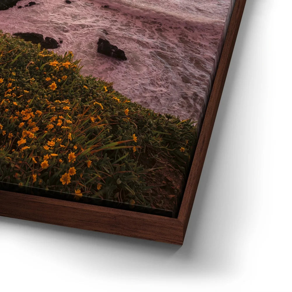 Featured image 14 for Sunset Symphony