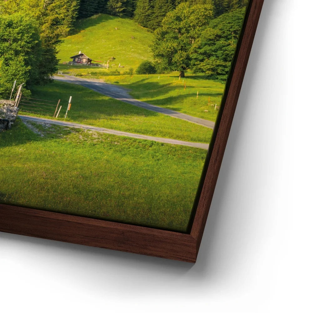 Featured image 14 for Swiss Paradise
