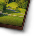 Thumbnail image 14 for Swiss Paradise