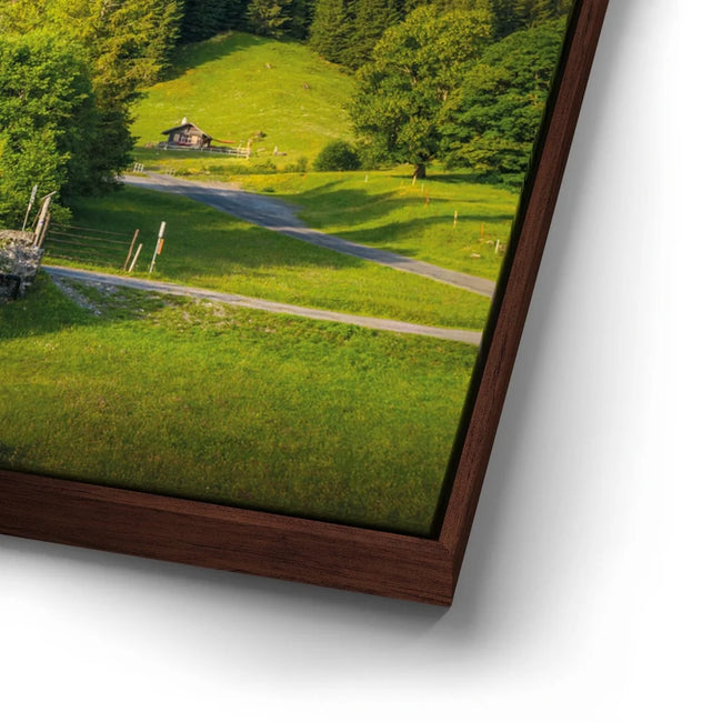 Featured image 14 for Swiss Paradise