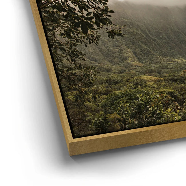 Featured image 12 for Take Me To The Mountains - Oahu, HI