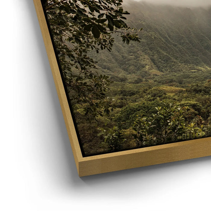 Featured image 12 for Take Me To The Mountains - Oahu, HI