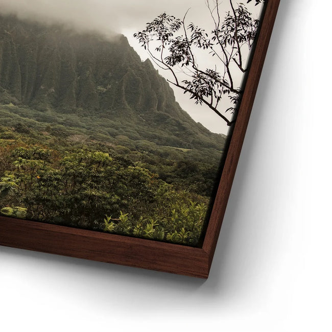 Featured image 14 for Take Me To The Mountains - Oahu, HI