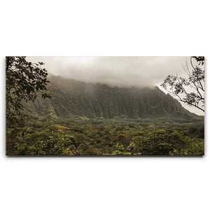 Take Me To The Mountains - Oahu, HI