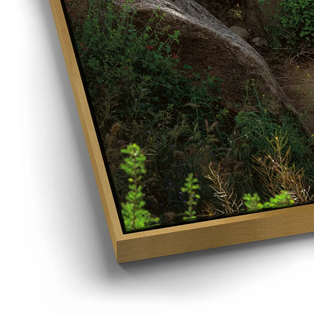 Featured image 12 for Take The Stairs