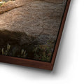 Thumbnail image 14 for Take The Stairs