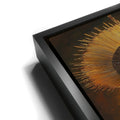 Thumbnail image 11 for Tapestry Of Light