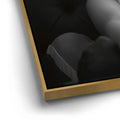 Thumbnail image 12 for Taste The Rainbow