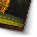 Thumbnail image 14 for Tatra Mountains, Poland