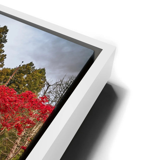 Featured image 13 for Tea Garden