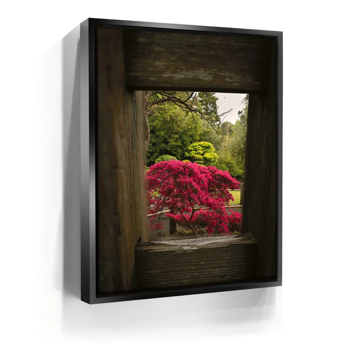 Featured image 5 for Tea Garden Tranquility