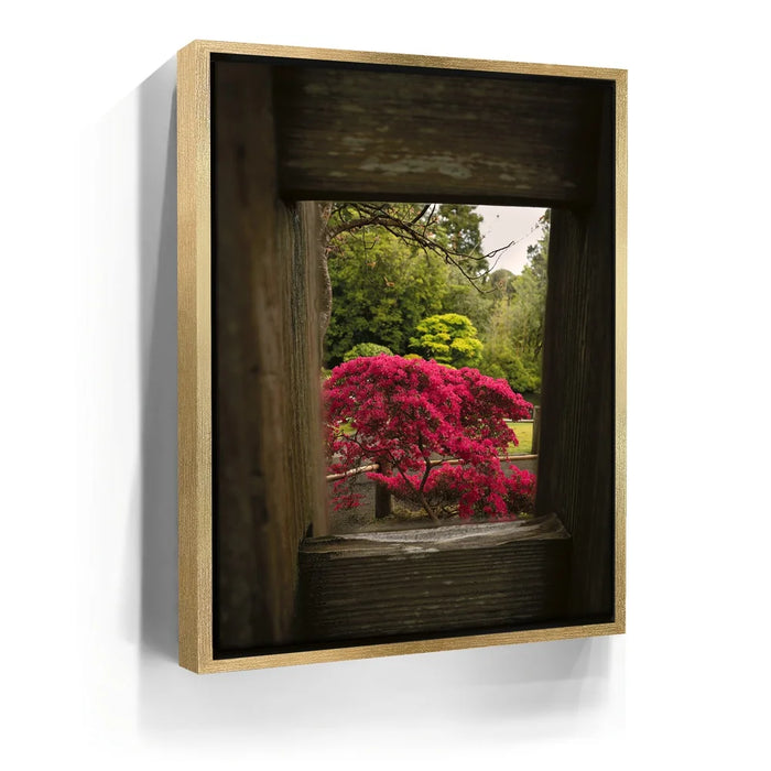 Featured image 7 for Tea Garden Tranquility