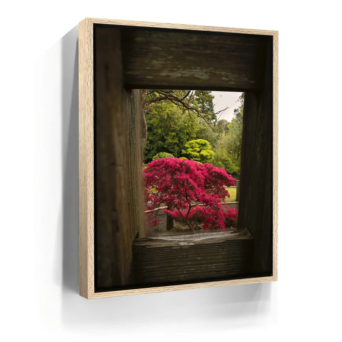 Featured image 9 for Tea Garden Tranquility