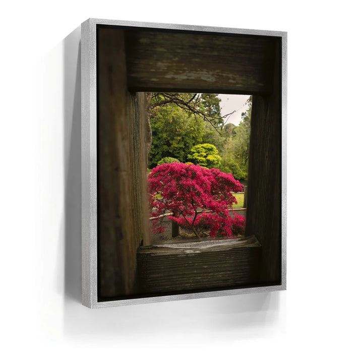 Featured image 8 for Tea Garden Tranquility