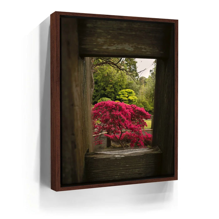 Featured image 10 for Tea Garden Tranquility