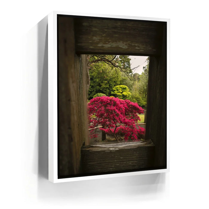 Featured image 6 for Tea Garden Tranquility