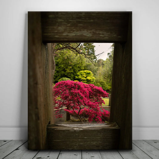 Tea Garden Tranquility