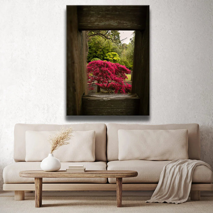 Featured image 2 for Tea Garden Tranquility