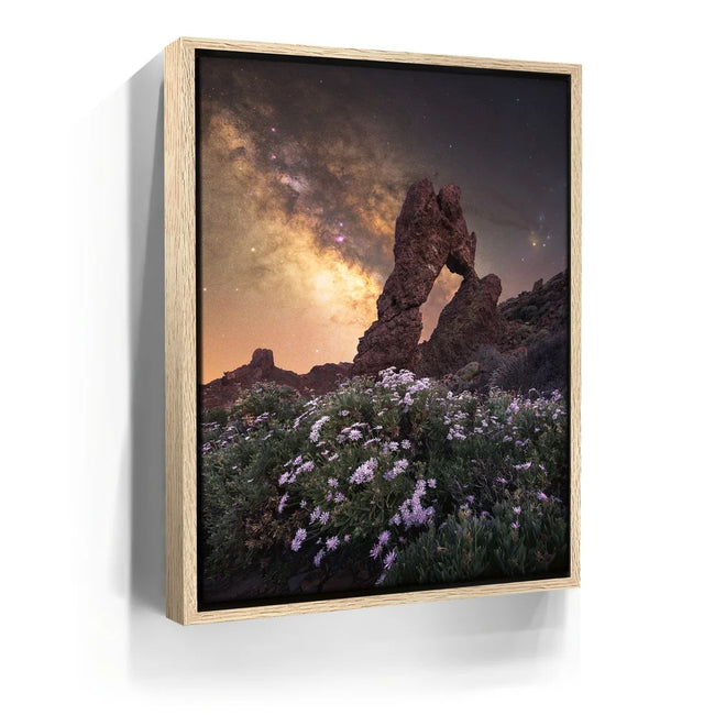 Featured image 9 for Tenerife - Teide National Park, Tenerife
