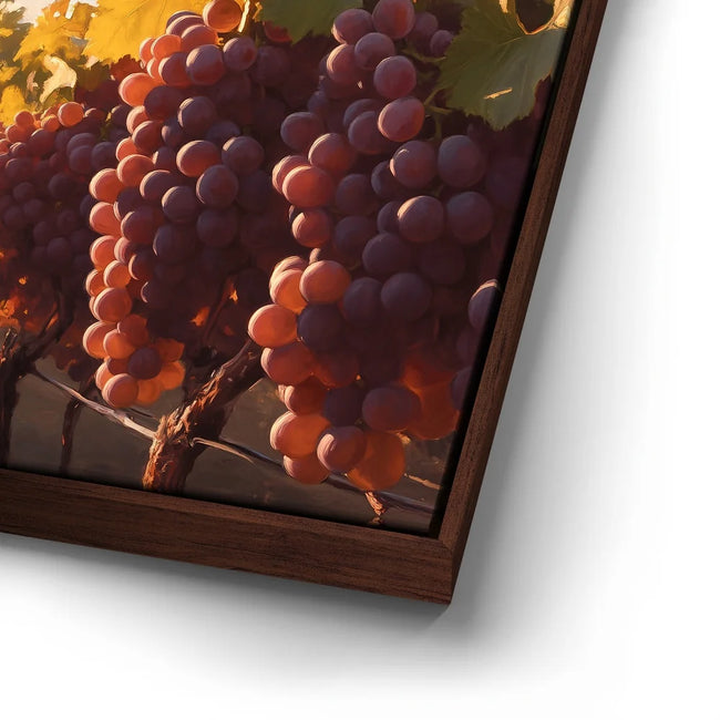 Featured image 15 for Terra Vinia