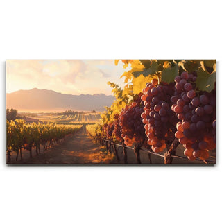 Terra Vinia