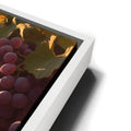 Thumbnail image 14 for Terra Vinia