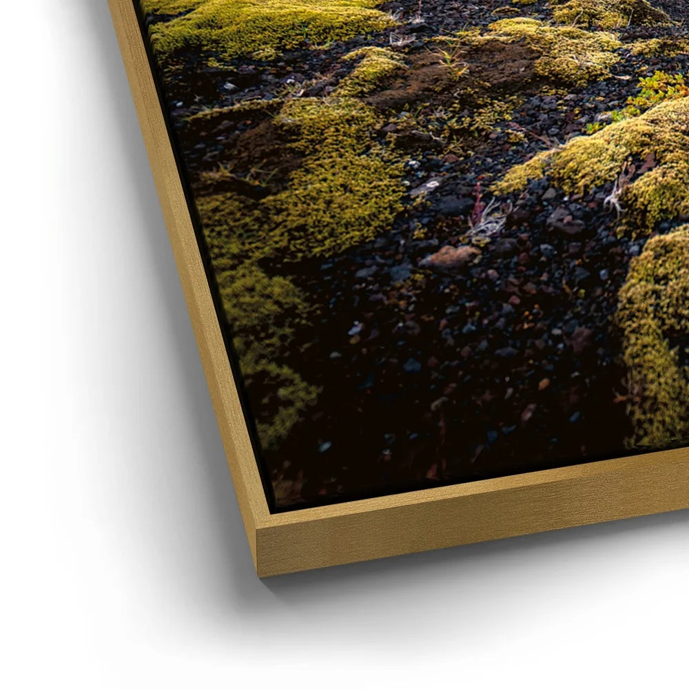 Featured image 12 for Texture of the Wild - Iceland