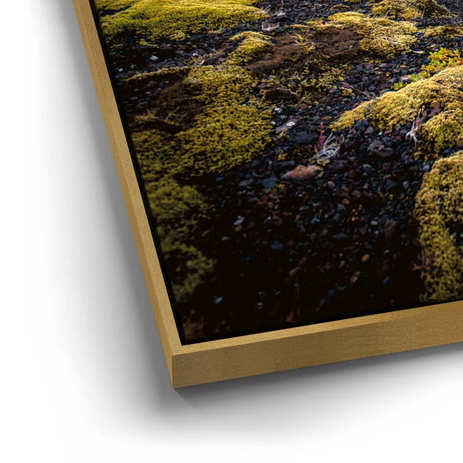 Featured image 12 for Texture of the Wild - Iceland
