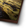 Thumbnail image 14 for Texture of the Wild - Iceland