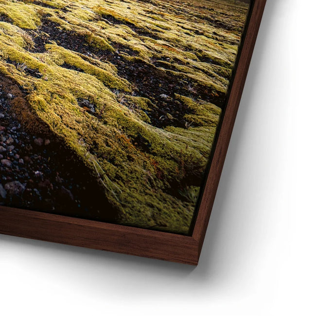 Featured image 14 for Texture of the Wild - Iceland
