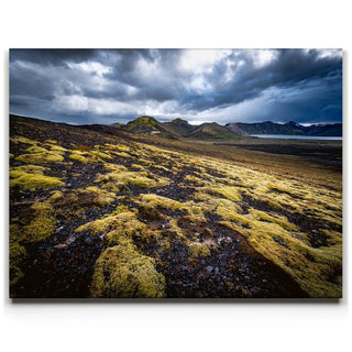 Texture of the Wild - Iceland