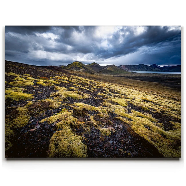 Featured image 1 for Texture of the Wild - Iceland