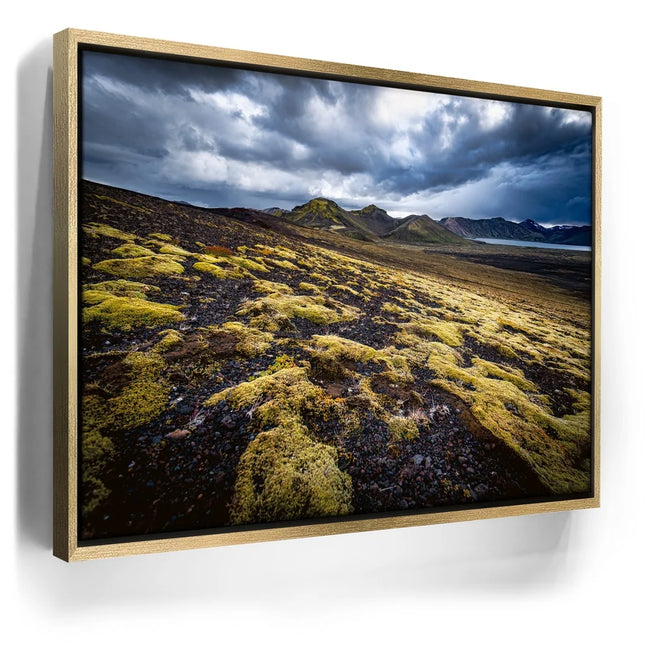 Featured image 7 for Texture of the Wild - Iceland