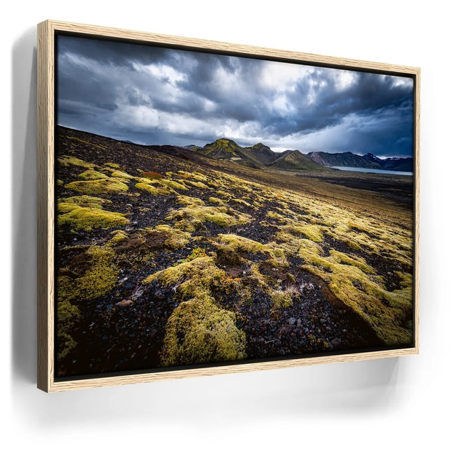 Featured image 9 for Texture of the Wild - Iceland