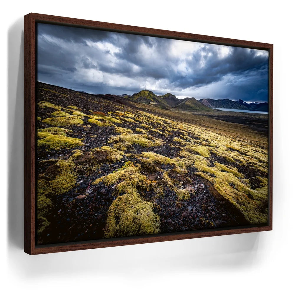 Featured image 10 for Texture of the Wild - Iceland