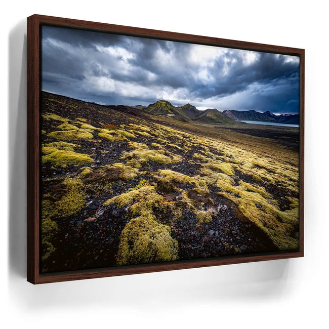 Featured image 10 for Texture of the Wild - Iceland