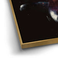 Thumbnail image 12 for The Clown