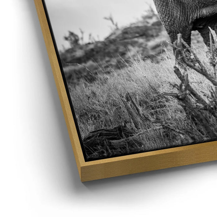 Featured image 12 for The Elephant Natasha