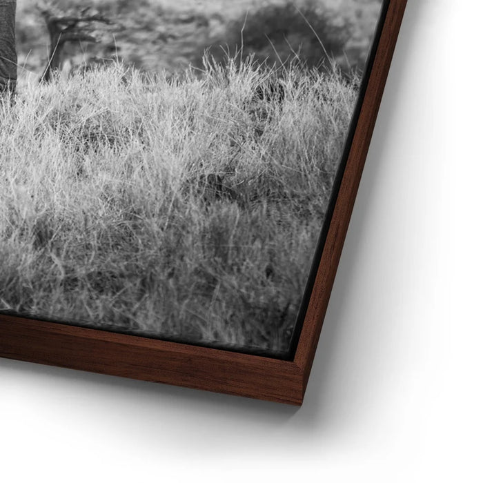 Featured image 14 for The Elephant Natasha