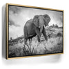 Featured image 7 for The Elephant Natasha