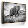 Featured image 9 for The Elephant Natasha