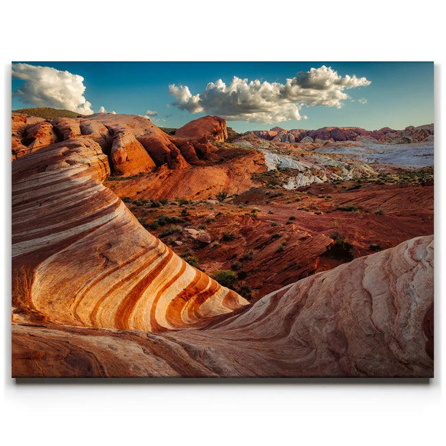 Featured image 1 for The Fire Wave