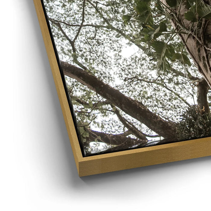 Featured image 12 for The Green Meets The Sky - Oahu, HI