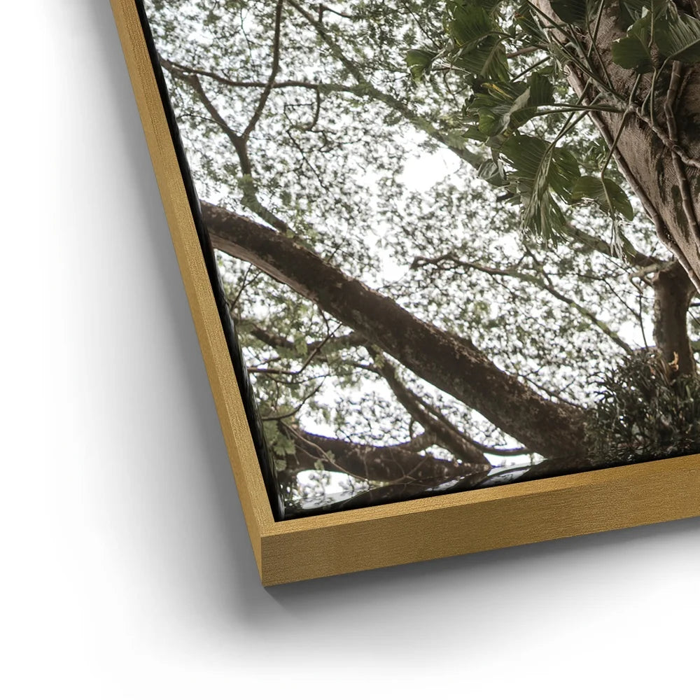 Featured image 12 for The Green Meets The Sky - Oahu, HI