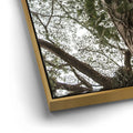 Thumbnail image 12 for The Green Meets The Sky - Oahu, HI
